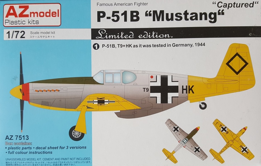 1/72 P-51B Mustang Captured