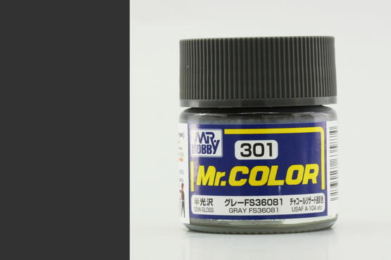 Mr. Color - FS36081 Gray - Šedá (10ml)