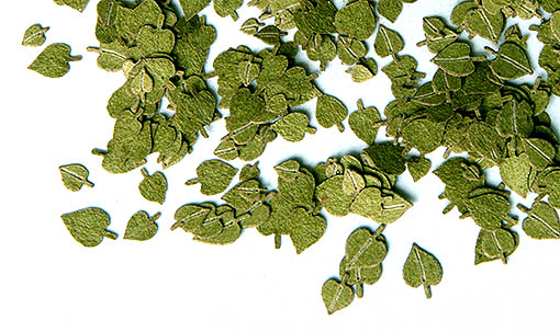 1/35 Green leaves - linden 